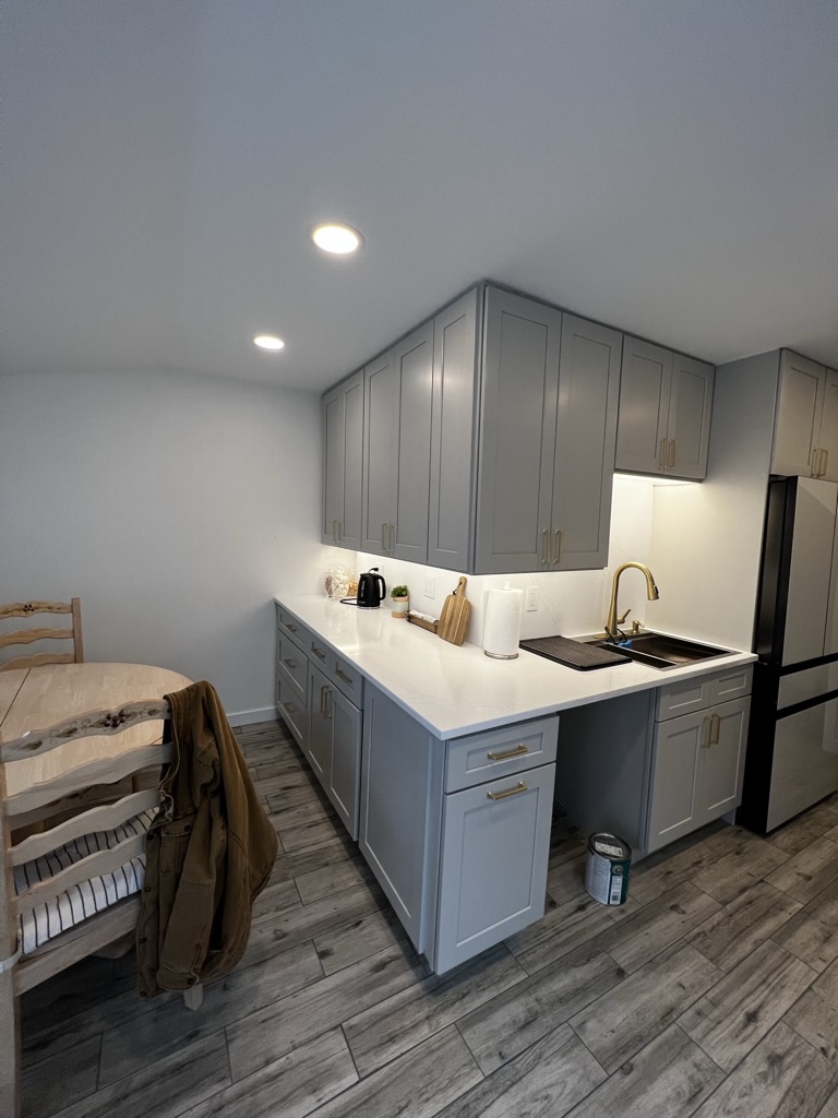 Modern Kitchen Remodel